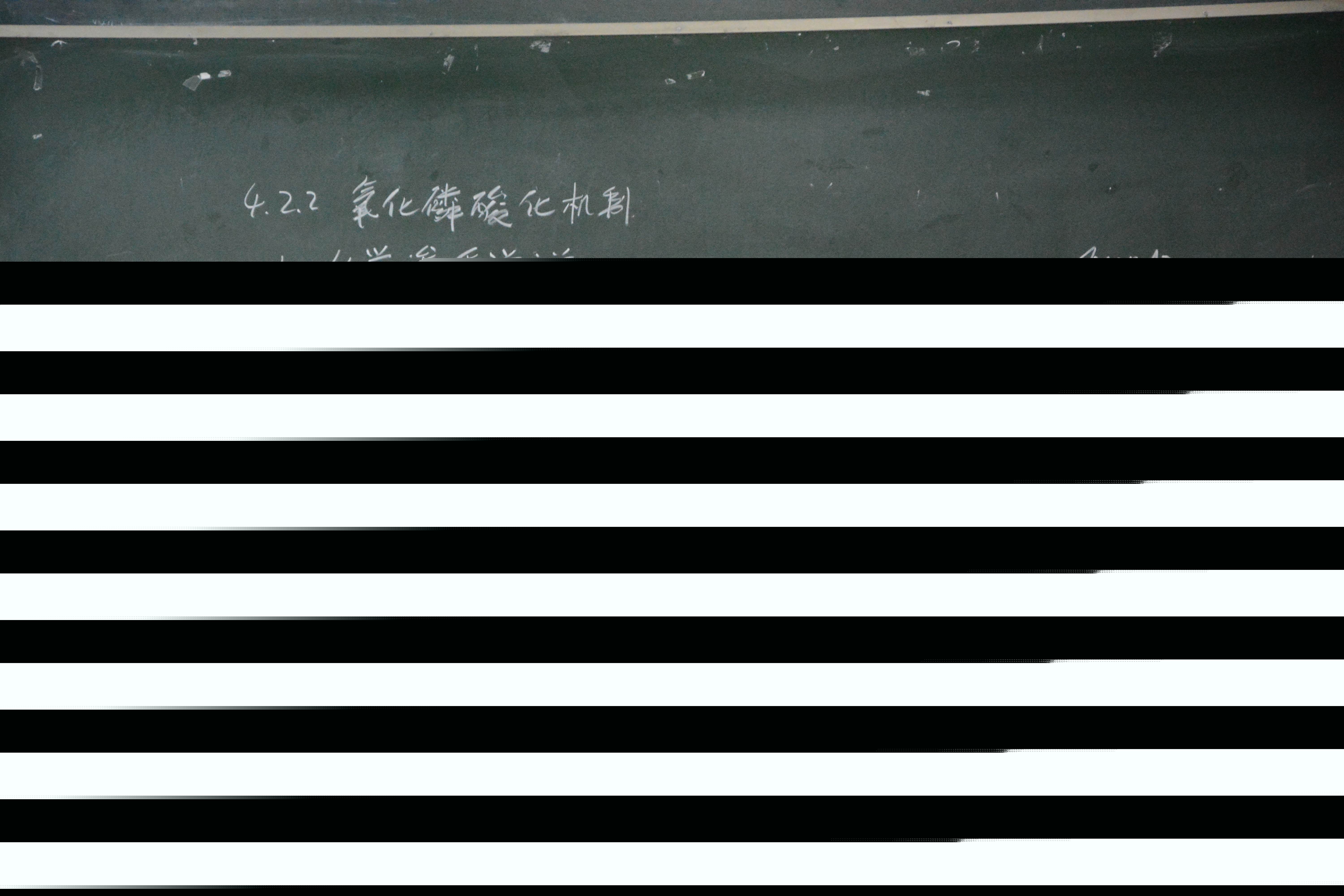 2教学优秀奖特等奖赵一阳.JPG