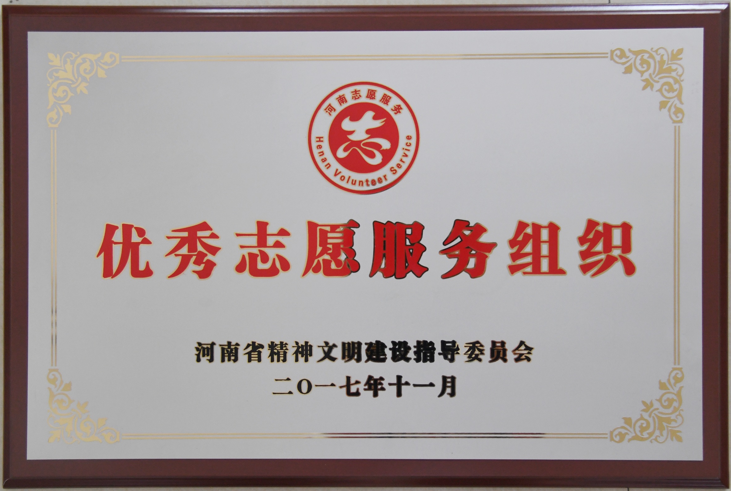 优秀志愿服务组织奖牌.JPG