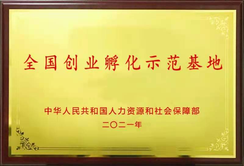 image13.jpeg